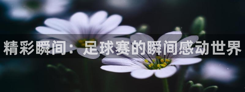 汇赢国际链：精彩瞬间：足球赛的瞬间感动世界