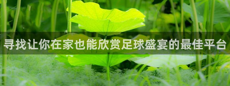 汇赢国际pg最新活动：寻找让你在家也能欣赏足球盛宴的最佳平台