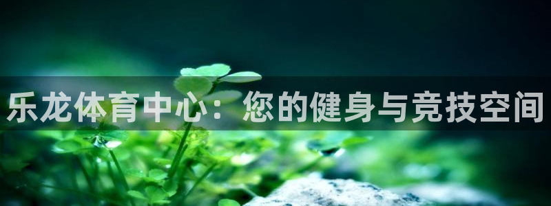 汇赢销：乐龙体育中心：您的健身与竞技空间