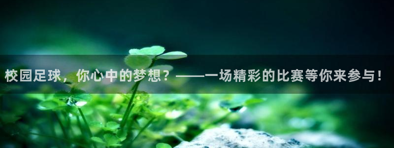 汇赢国际电子pg：校园足球，你心中的梦想？——一场精彩的比赛等你来参与！
