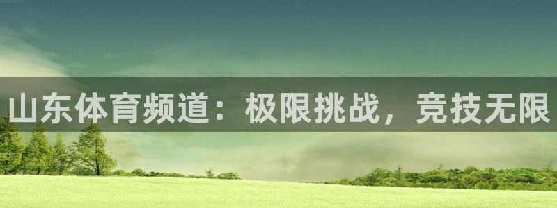 逸升汇赢：山东体育频道：极限挑战，竞技无限
