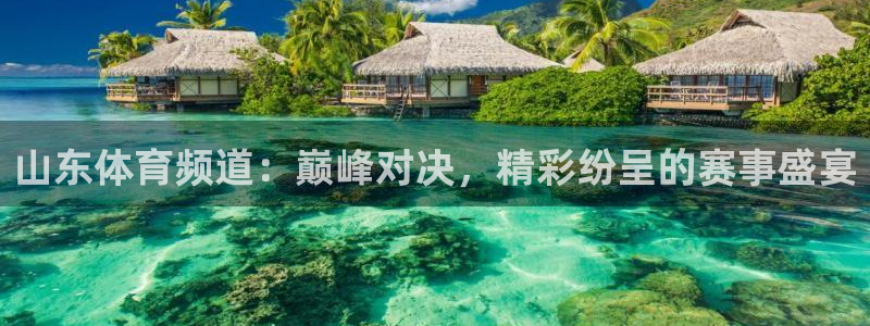汇赢国际app是什么：山东体育频道：巅峰对决，精彩纷呈的赛事盛宴