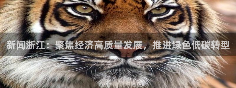 珠江汇赢1号：新闻浙江：聚焦经济高质量发展，推进绿色低碳转型