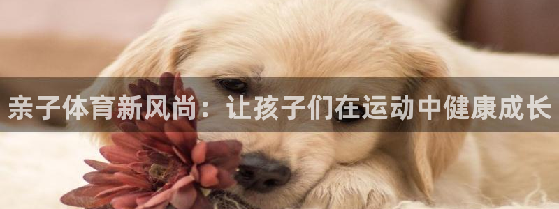 汇赢国际链：亲子体育新风尚：让孩子们在运动中健康成长