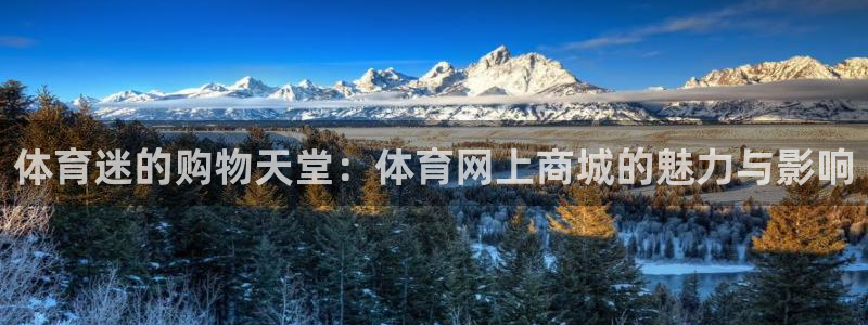 汇赢国际摸拟器：体育迷的购物天堂：体育网上商城的魅力与影响