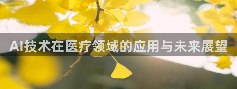 汇赢怎么样：AI技术在医疗领域的应用与未来展望