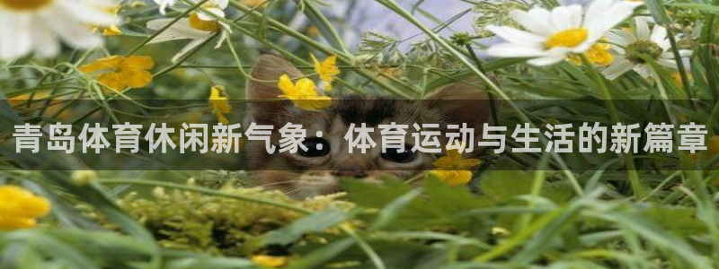 汇赢国际：青岛体育休闲新气象：体育运动与生活的新篇章