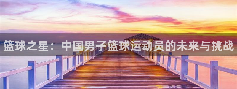 汇赢国际电子汇统登录入口：篮球之星：中国男子篮球运动员的未来与挑战