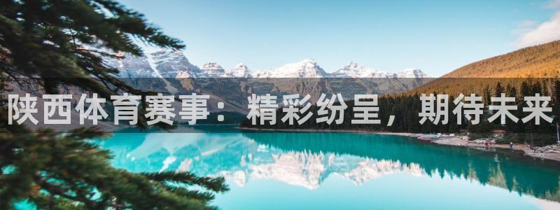汇赢国际链接获取：陕西体育赛事：精彩纷呈，期待未来