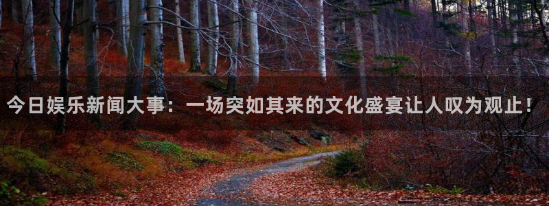 汇赢国际pg最新活动：今日娱乐新闻大事：一场突如其来的文化盛宴让人叹为观止！