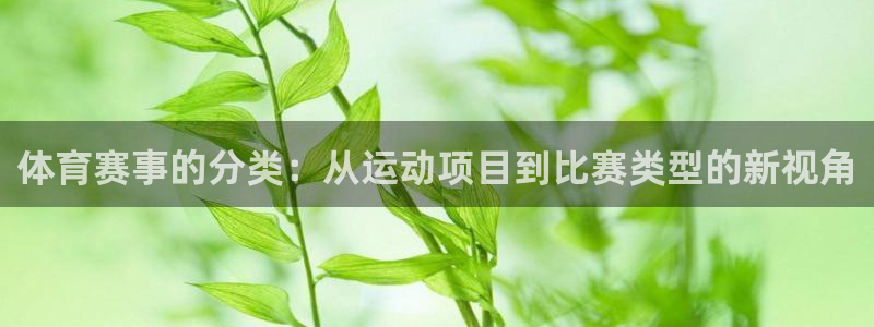 众汇赢：体育赛事的分类：从运动项目到比赛类型的新视角