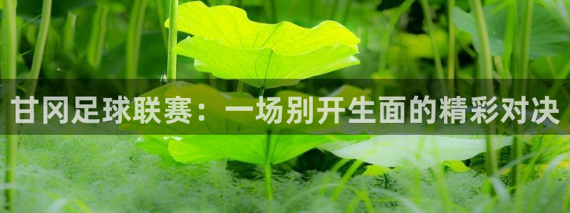汇赢：甘冈足球联赛：一场别开生面的精彩对决