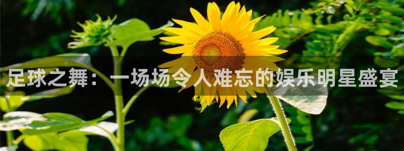 众汇赢：足球之舞：一场场令人难忘的娱乐明星盛宴