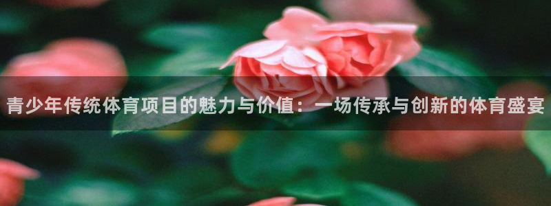 汇赢国际君临国际导航：青少年传统体育项目的魅力与价值：一场传承与创新的体育盛宴
