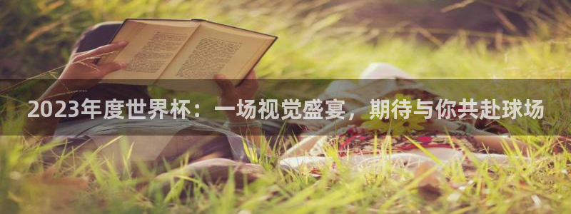 汇赢国际极限版：2023年度世界杯：一场视觉盛宴，期待与你共赴球场