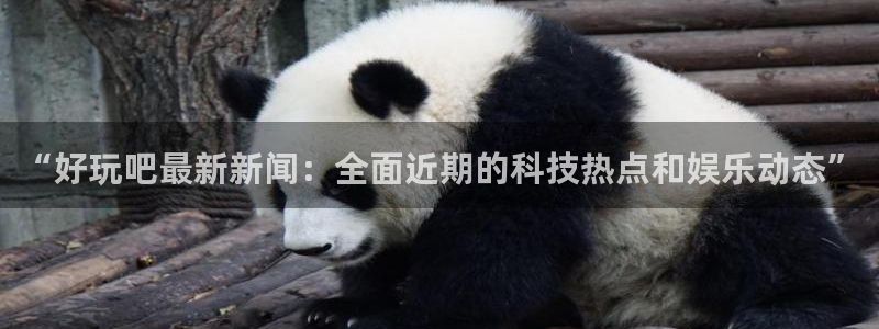汇赢国际入口链接：“好玩吧最新新闻：全面近期的科技热点和娱乐动态”
