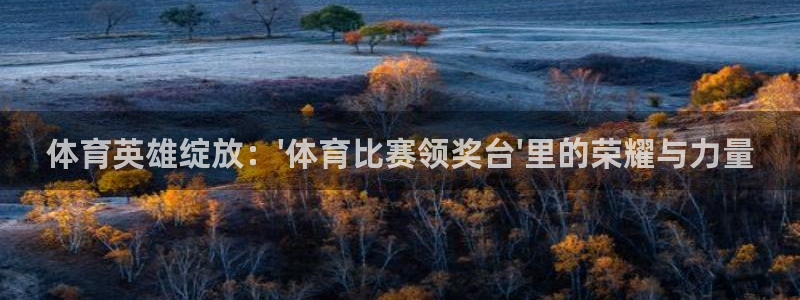 汇赢国际极速版最新版本下载：体育英雄绽放：\'体育比赛领奖台\'里的荣耀与力量