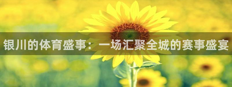 汇赢人生：银川的体育盛事：一场汇聚全城的赛事盛宴