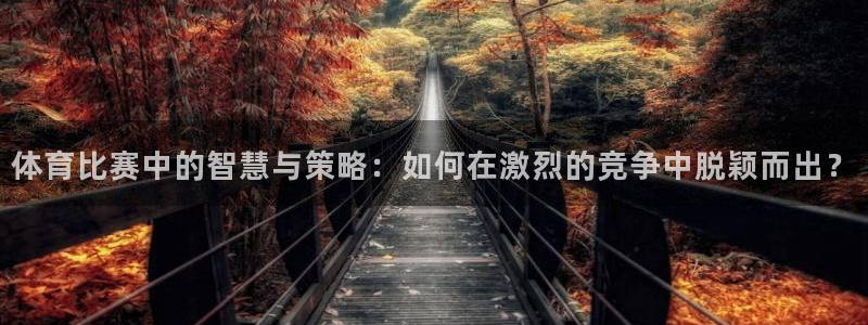 汇赢：体育比赛中的智慧与策略：如何在激烈的竞争中脱颖而出？