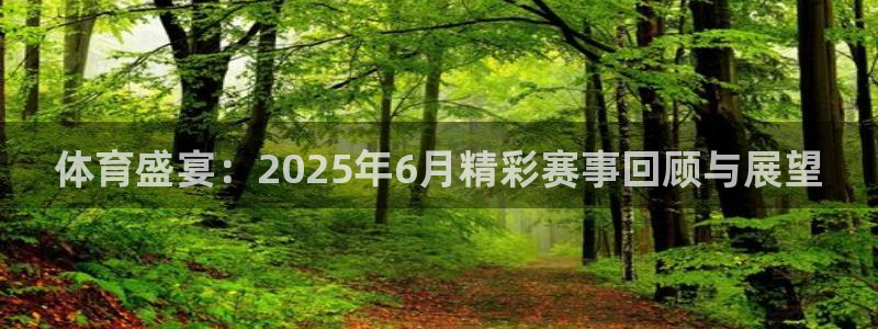 汇赢教育：体育盛宴：2025年6月精彩赛事回顾与展望