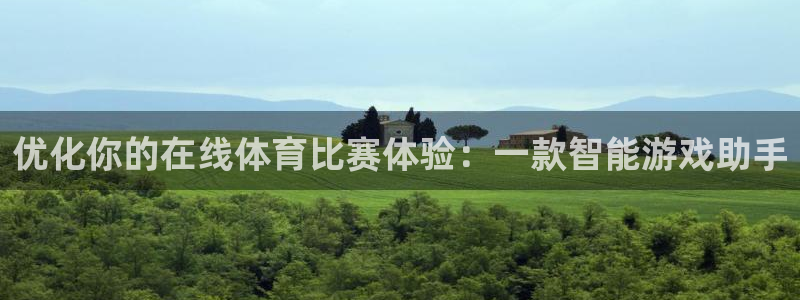 汇赢国际游戏官网：优化你的在线体育比赛体验：一款智能游戏助手