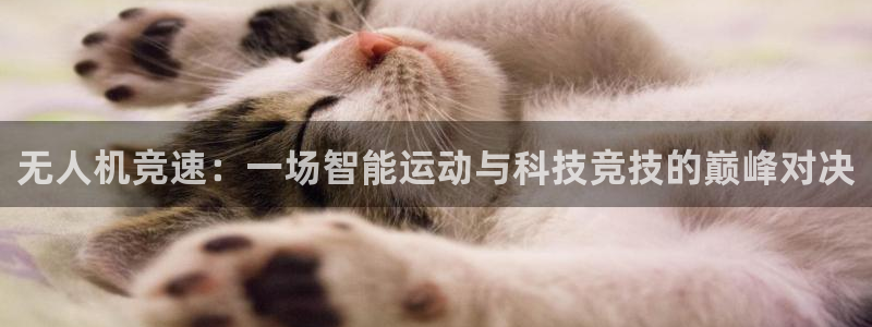 汇赢国际摸拟器：无人机竞速：一场智能运动与科技竞技的巅峰对决